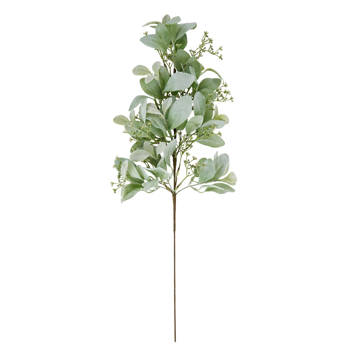 Large Winter Sprig With Lambs Ear And Wax Flower – alternate view 4