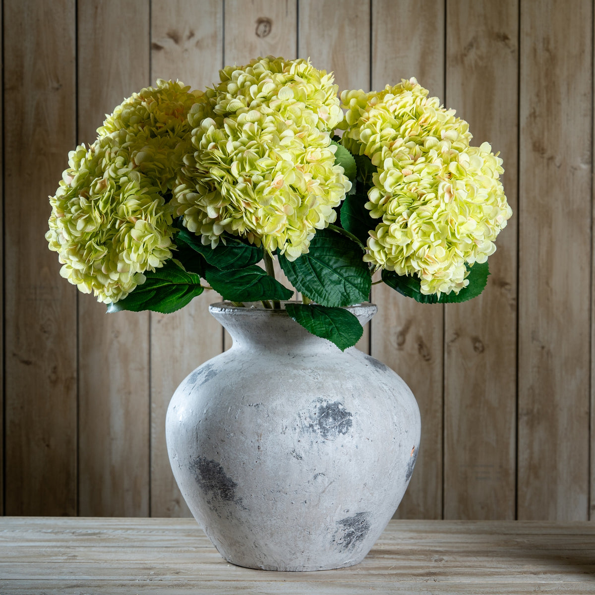 Oversized Green Hydrangea – alternate view 2