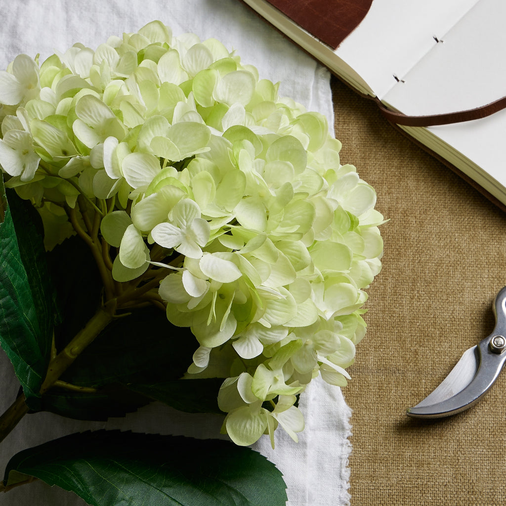 Oversized Green Hydrangea – alternate view 4