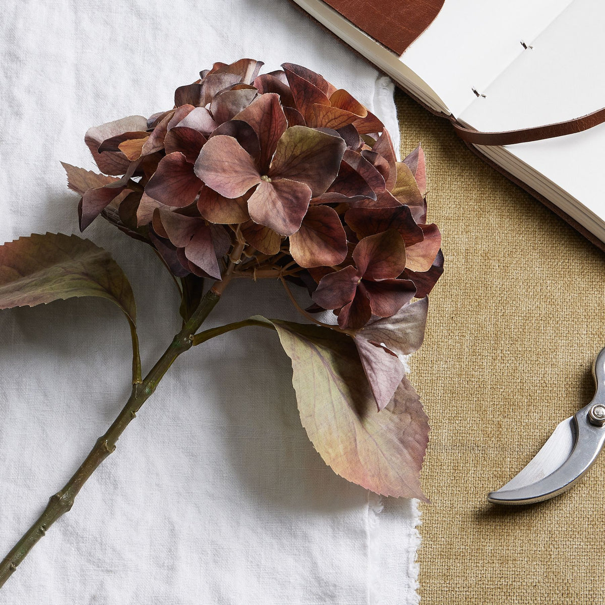 Mixed Autumn Browns Single Hydrangea Stem – alternate view 2