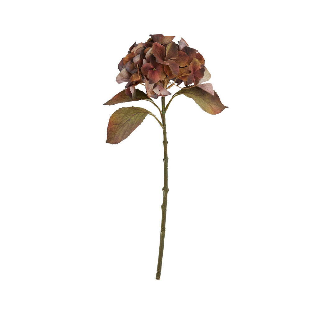 Mixed Autumn Browns Single Hydrangea Stem – alternate view 3