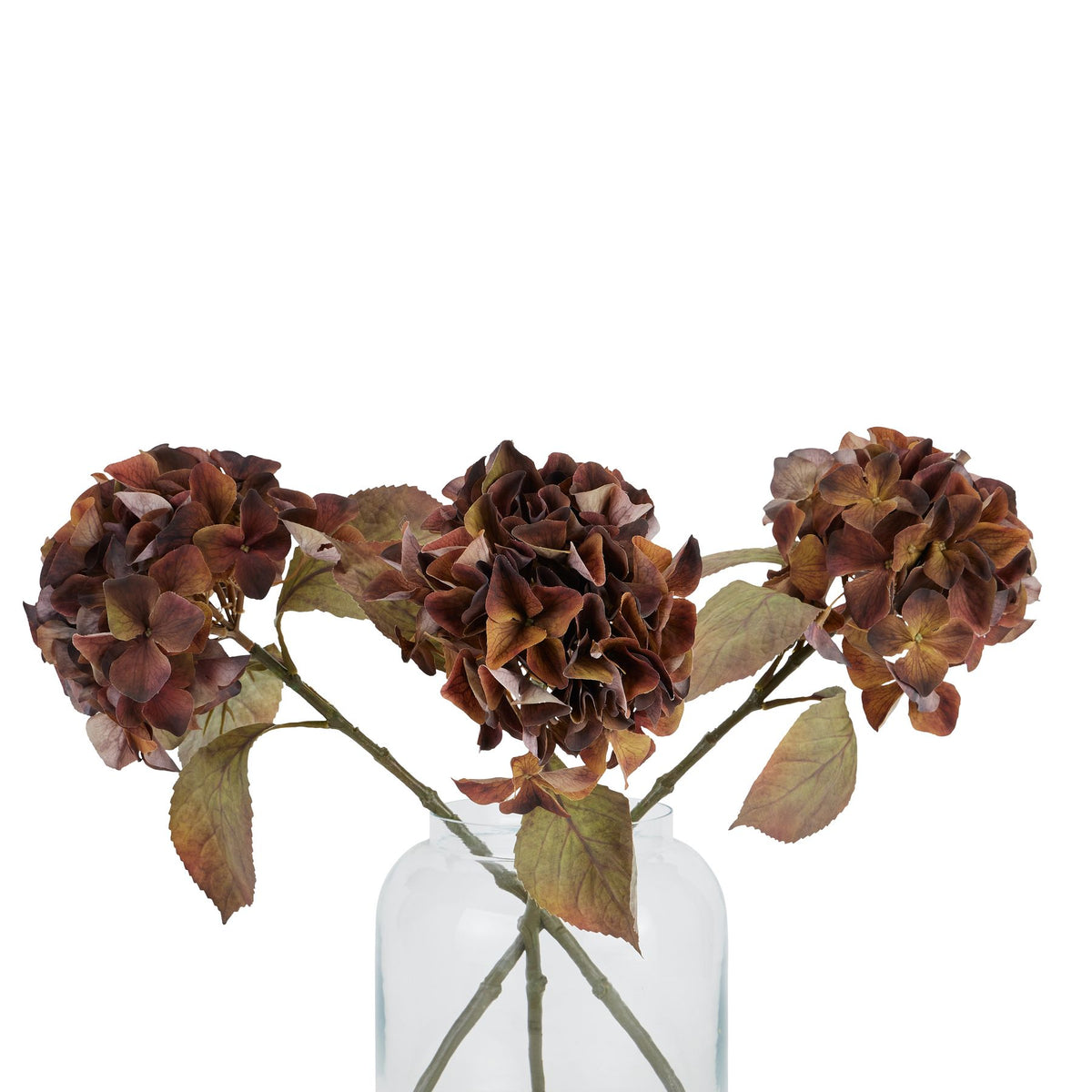 Mixed Autumn Browns Single Hydrangea Stem – alternate view 4