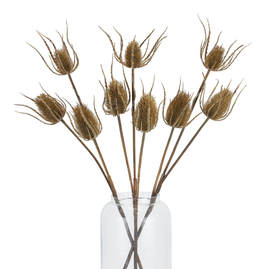 Large Brown Triple Teasle Stem – alternate view 4