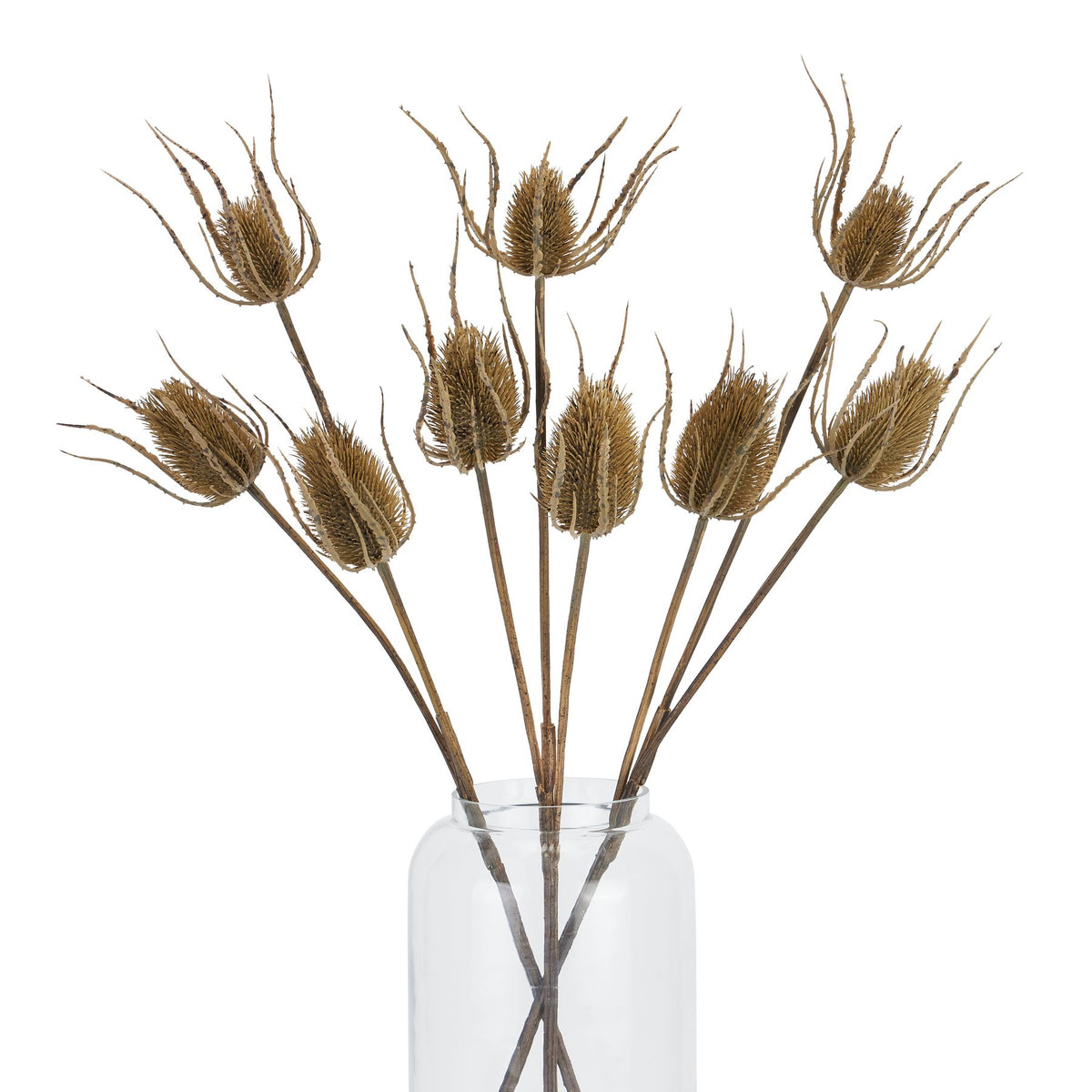 Large Brown Triple Teasle Stem – alternate view 4