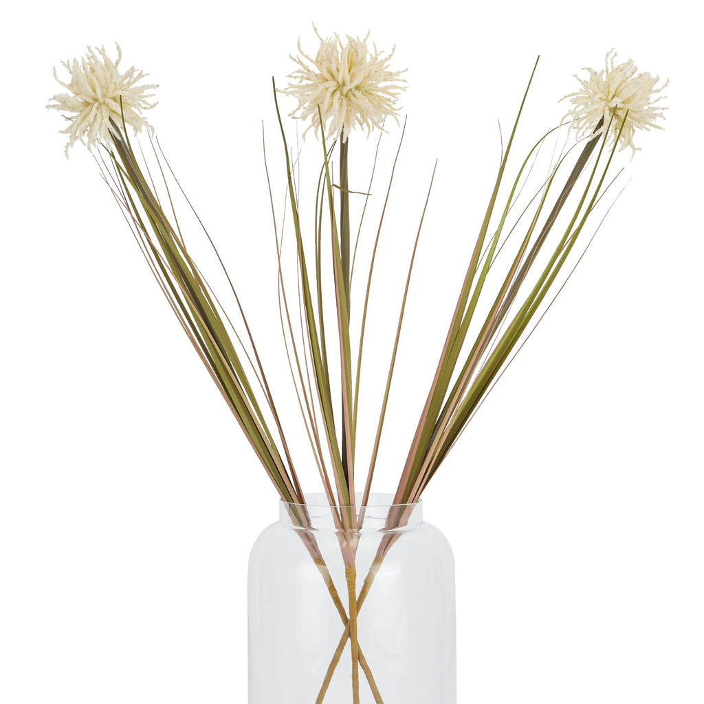Cream Aster Spider Chrysanthemum Stem – alternate view 5