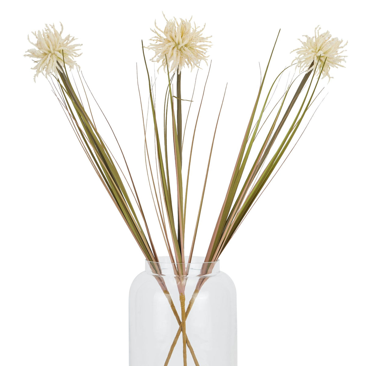 Cream Aster Spider Chrysanthemum Stem – alternate view 5