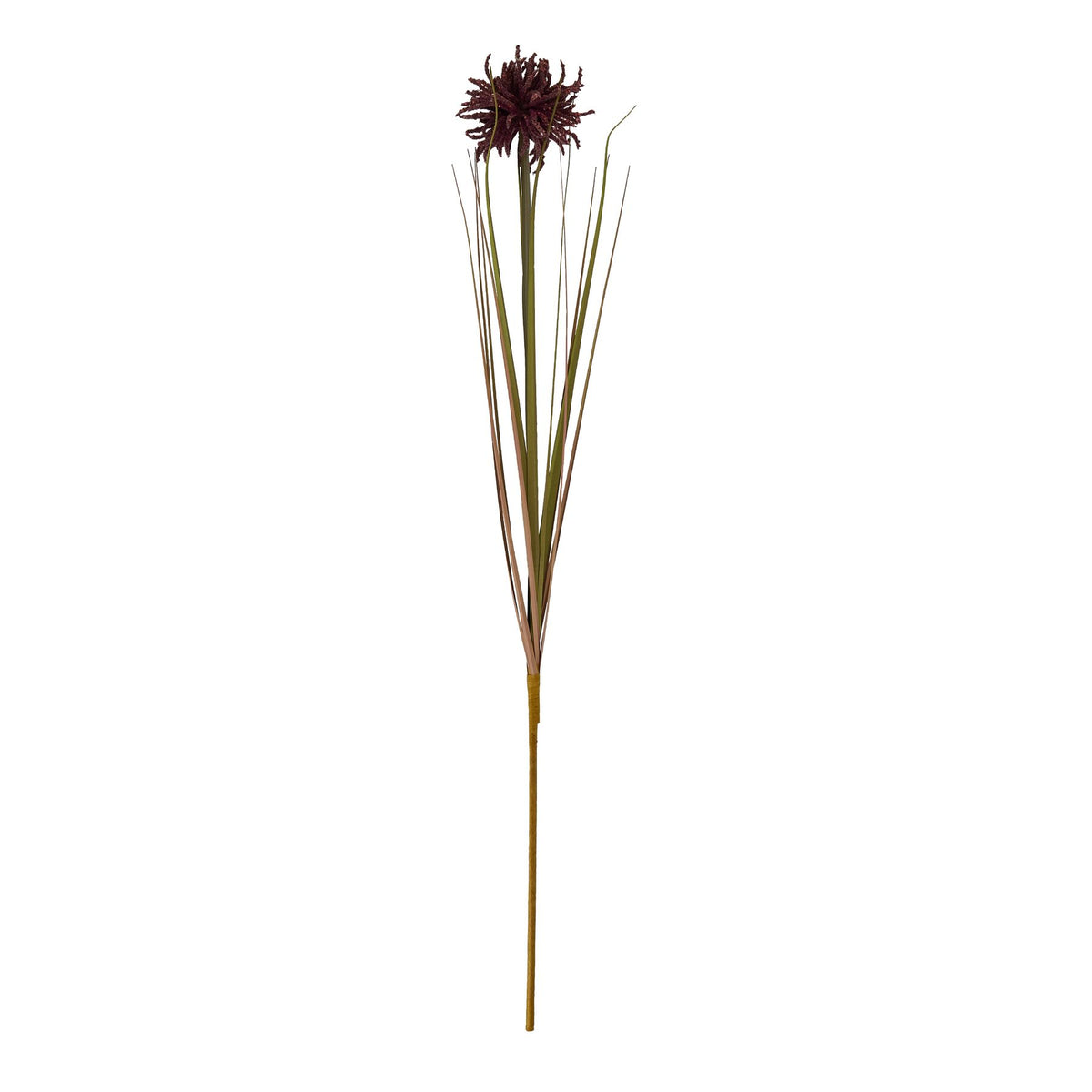 Burgundy Aster Spider Chrysanthemum Stem – alternate view 4