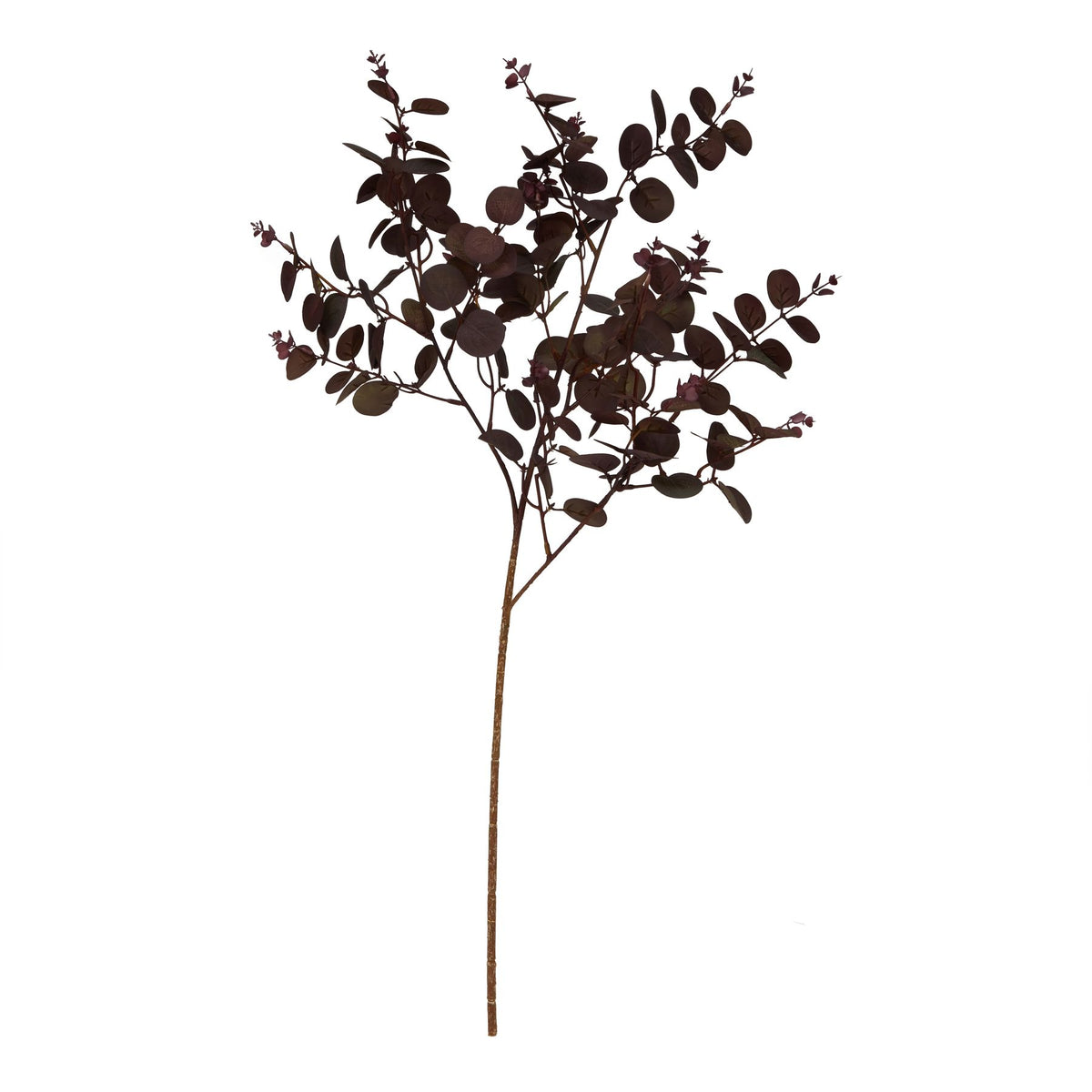 Burgundy Eucalyptus Bunch – alternate view 2