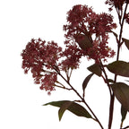 Medium Burgundy Smokebush Stem – alternate view 2