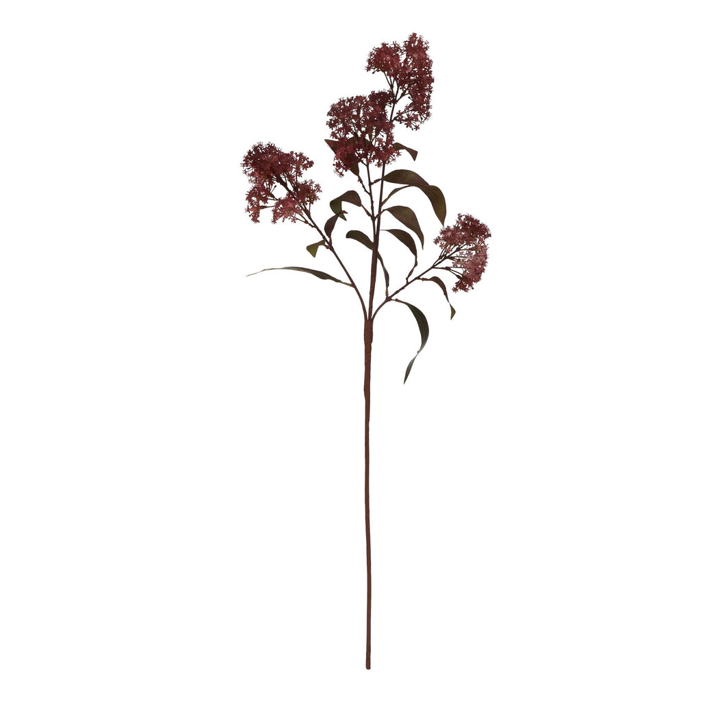 Medium Burgundy Smokebush Stem – alternate view 3