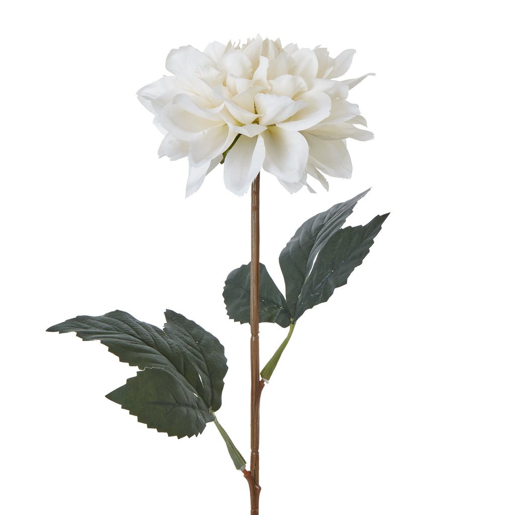 The Natural Garden Collection Tall White Dahlia – alternate view 2