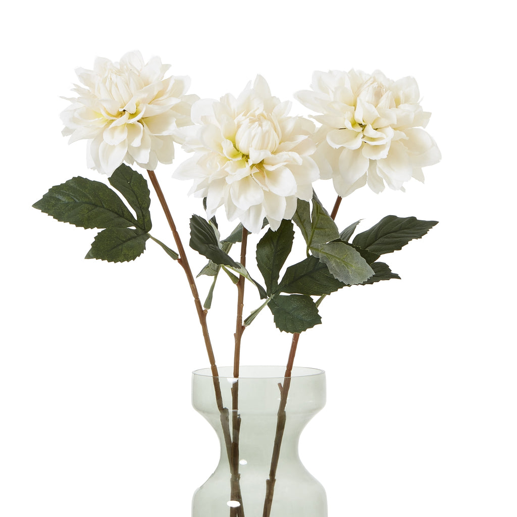 The Natural Garden Collection Tall White Dahlia – alternate view 3
