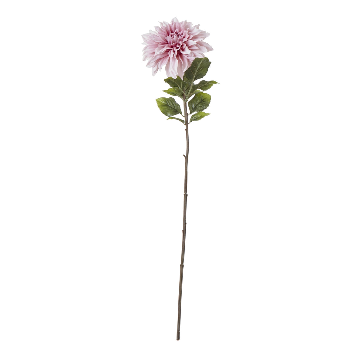 The Natural Garden Collection Pink Dahlia – alternate view 3