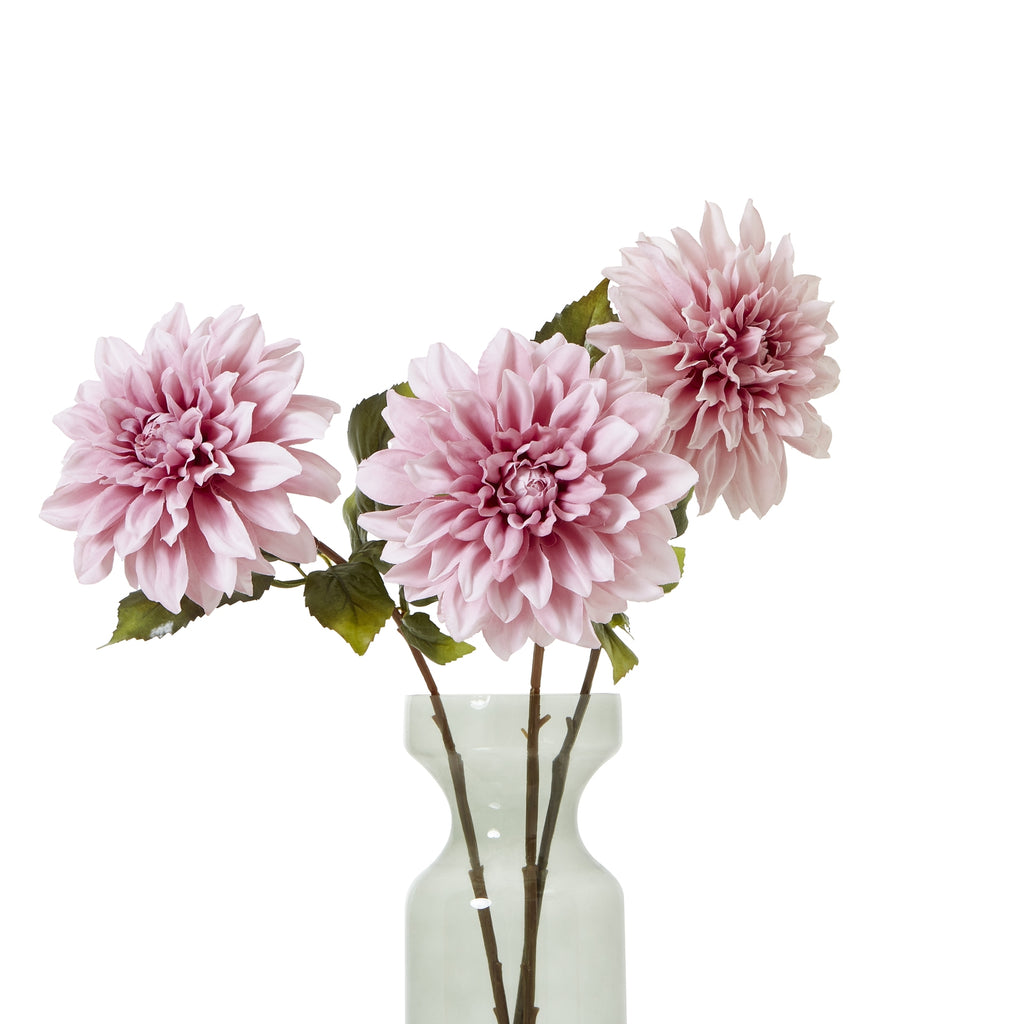 The Natural Garden Collection Pink Dahlia – alternate view 4