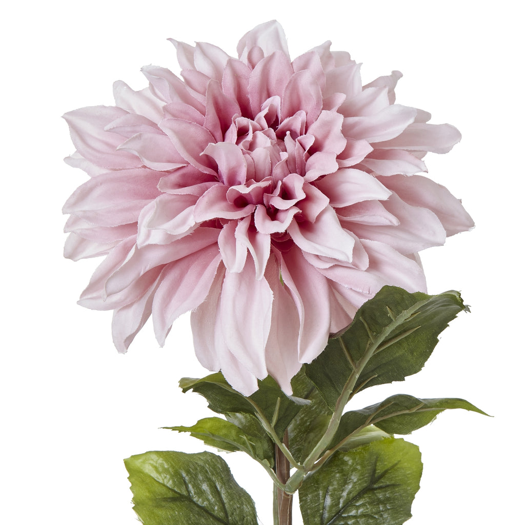 The Natural Garden Collection Pink Dahlia – alternate view 5