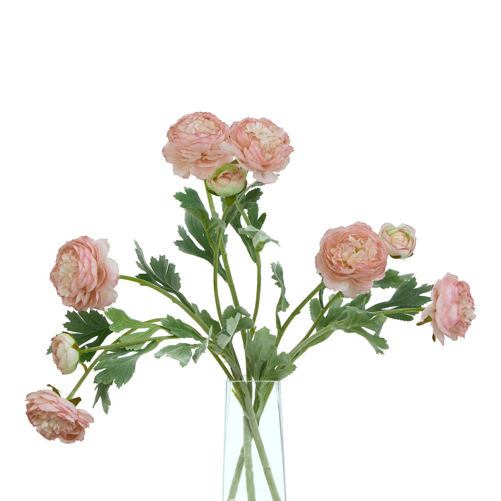 The Natural Garden Collection Pink Ranunculus – alternate view 5