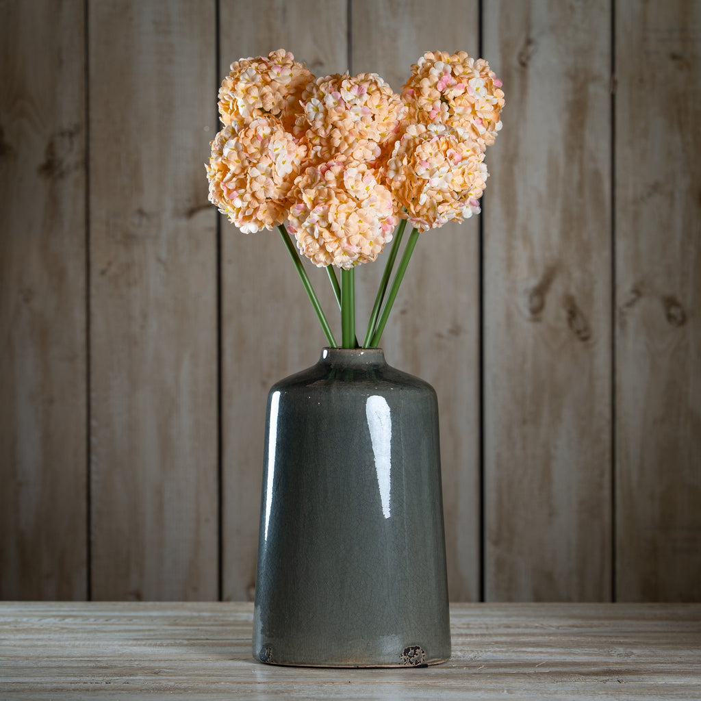 The Natural Garden Collection White & Apricot Allium – alternate view 2