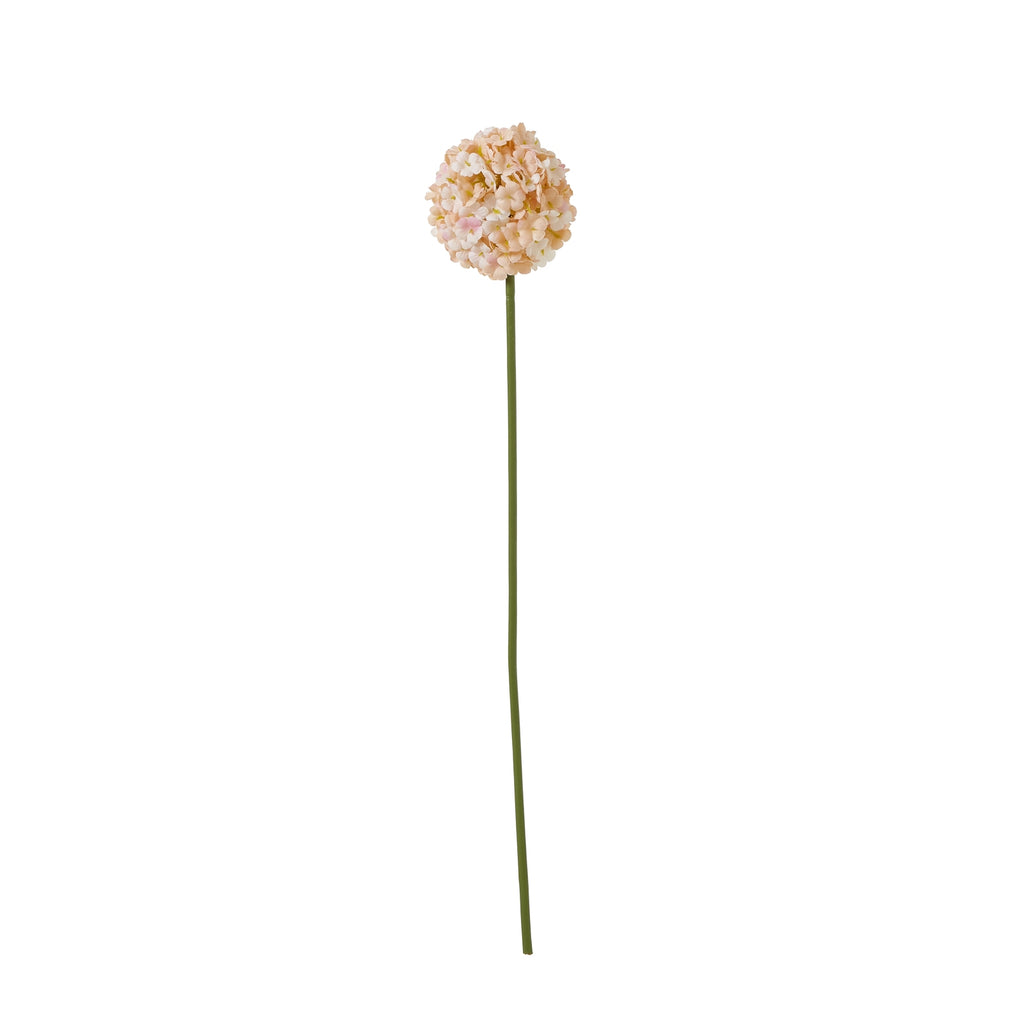 The Natural Garden Collection White & Apricot Allium – alternate view 3