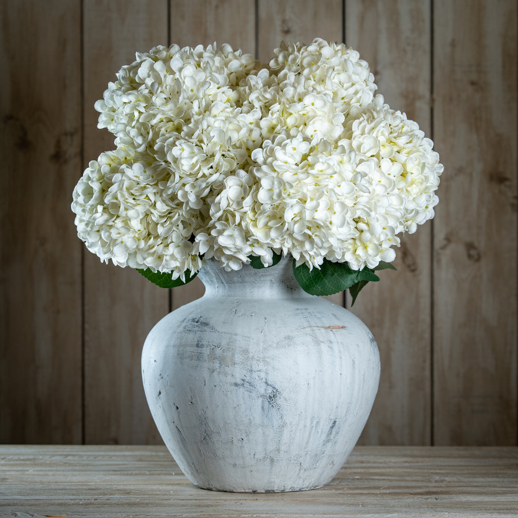 The Natural Garden Collection White Allium – alternate view 2