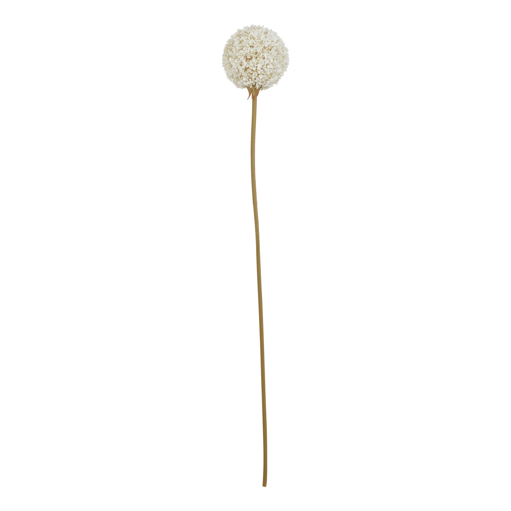 The Natural Garden Collection White Allium – alternate view 3