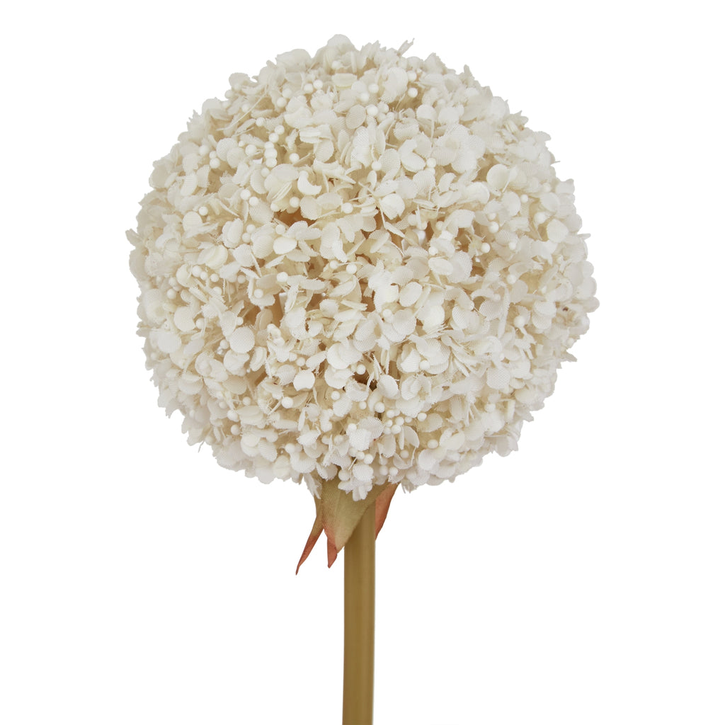 The Natural Garden Collection White Allium – alternate view 4