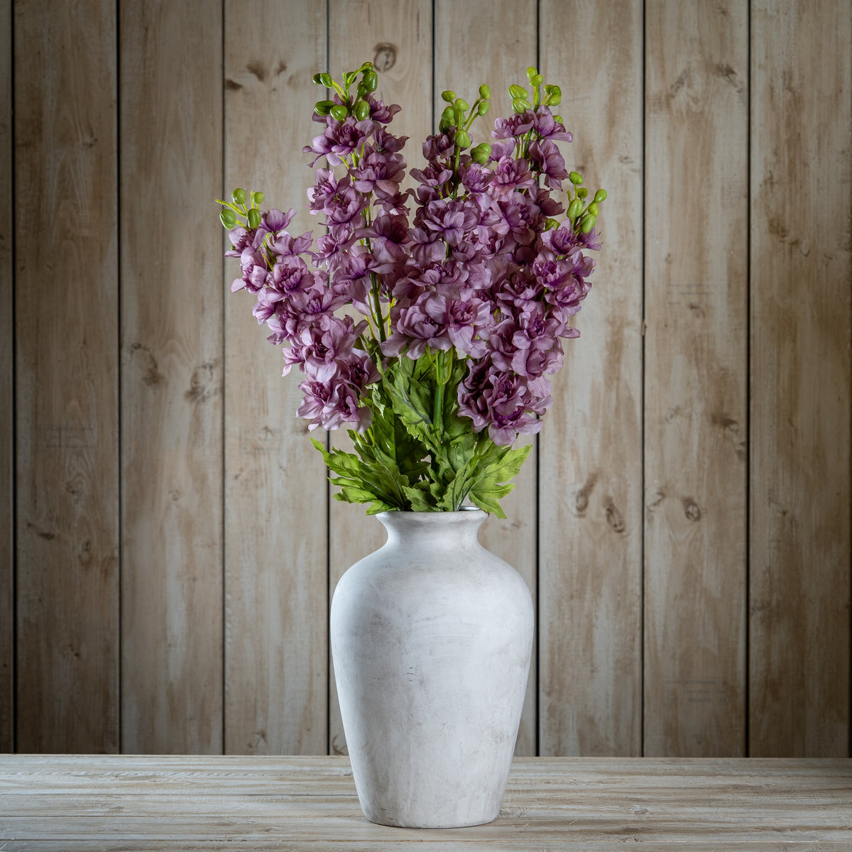 The Natural Garden Collection Purple Elatum Delphinium – alternate view 2