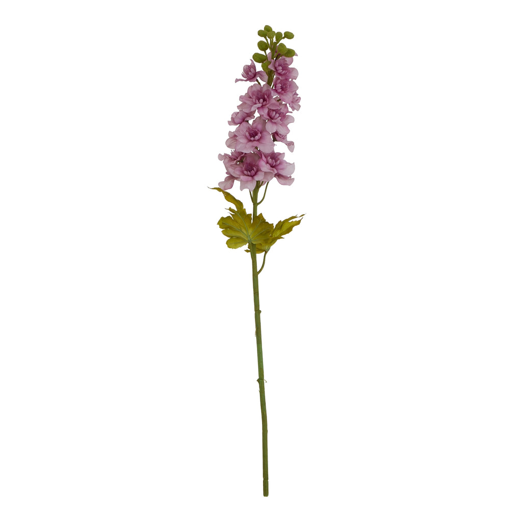 The Natural Garden Collection Purple Elatum Delphinium – alternate view 4
