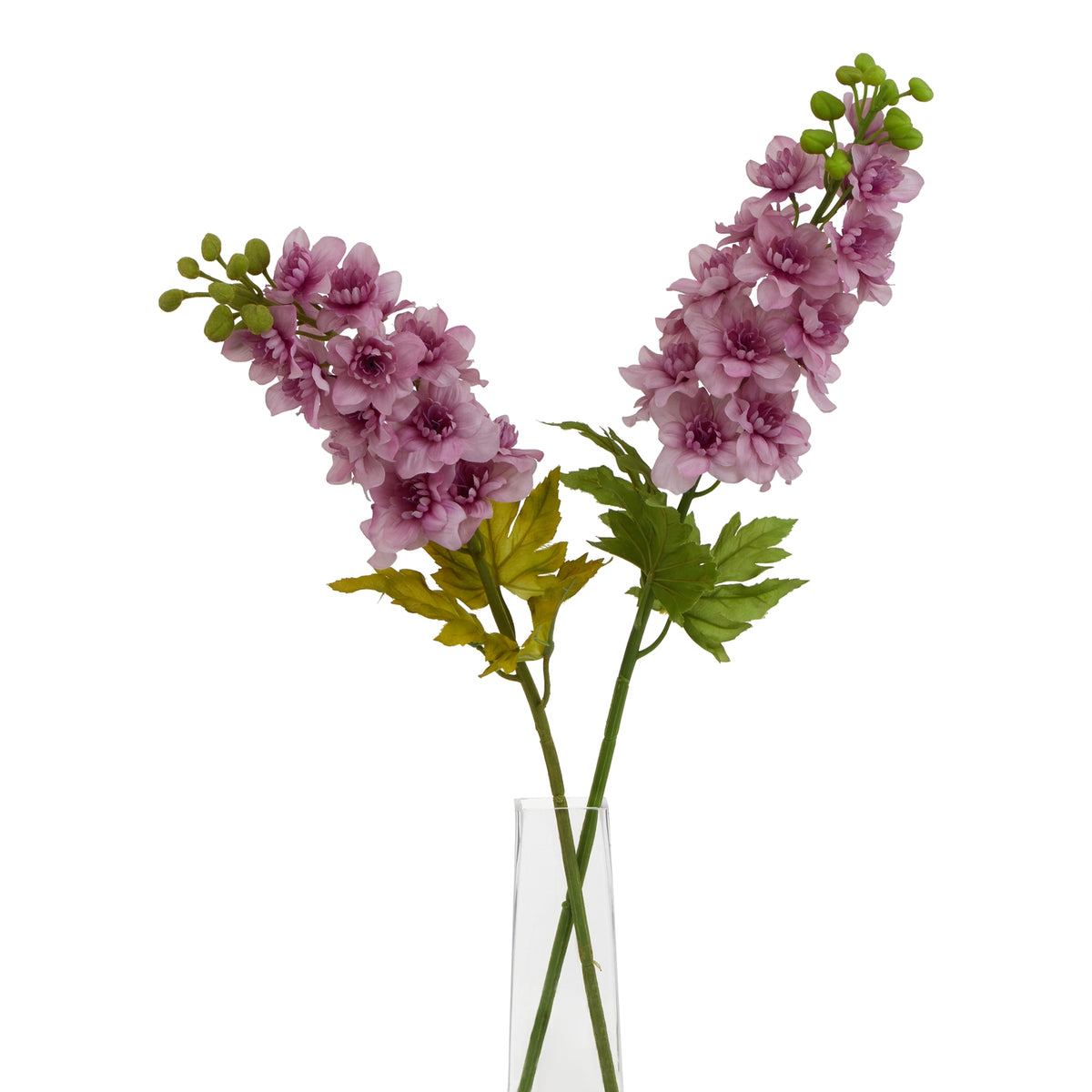 The Natural Garden Collection Purple Elatum Delphinium – alternate view 5