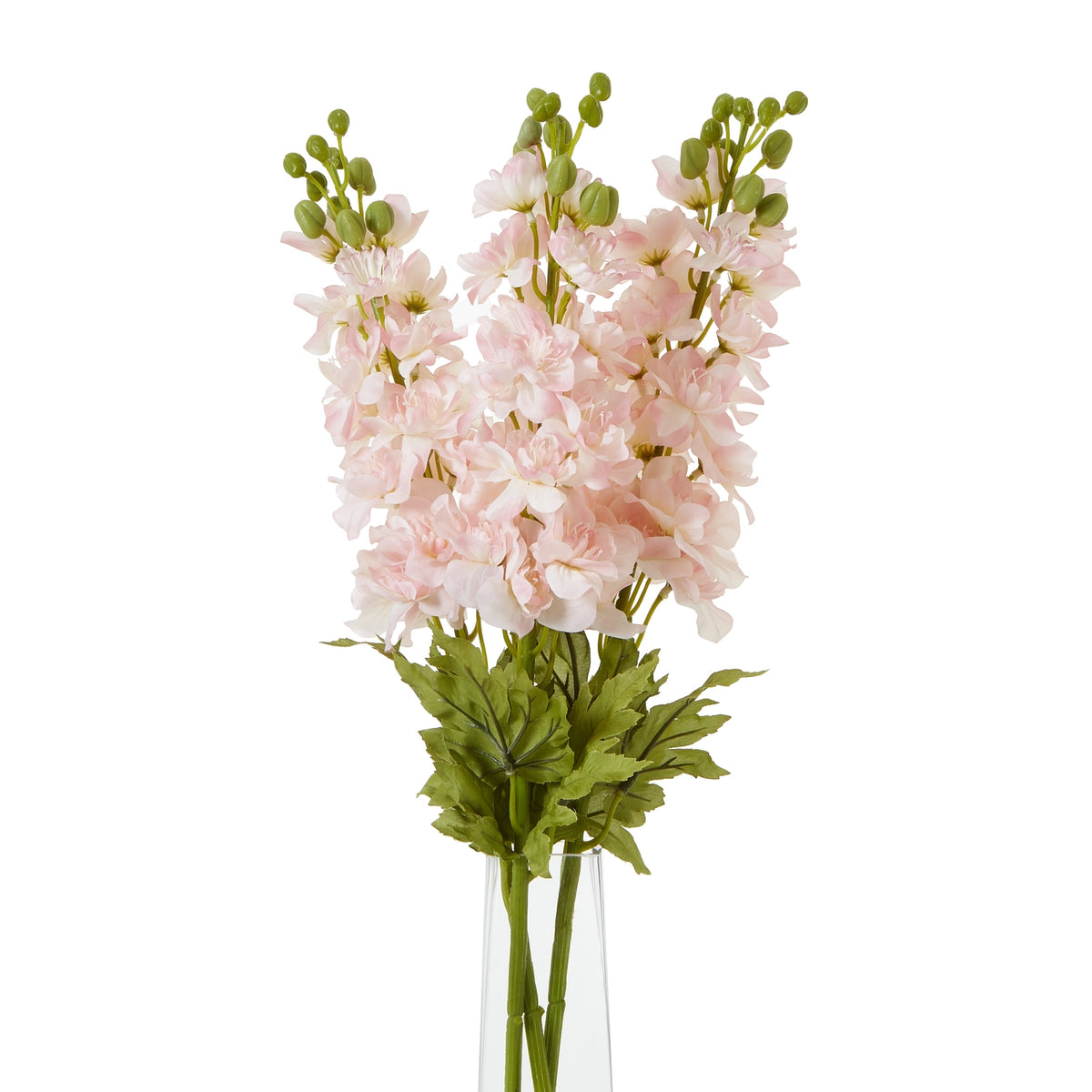 The Natural Garden Collection Pink Elatum Delphinium – alternate view 3