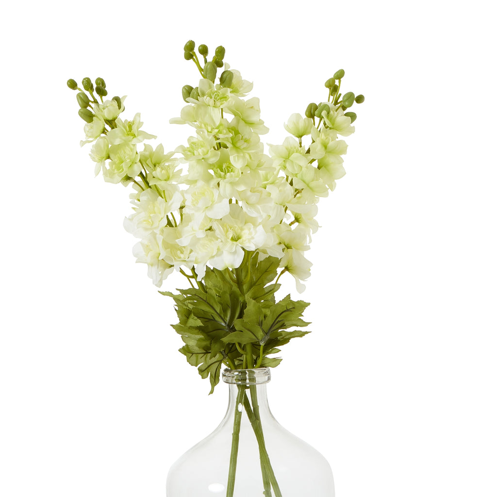 The Natural Garden Collection White Elatum Delphinium – alternate view 3