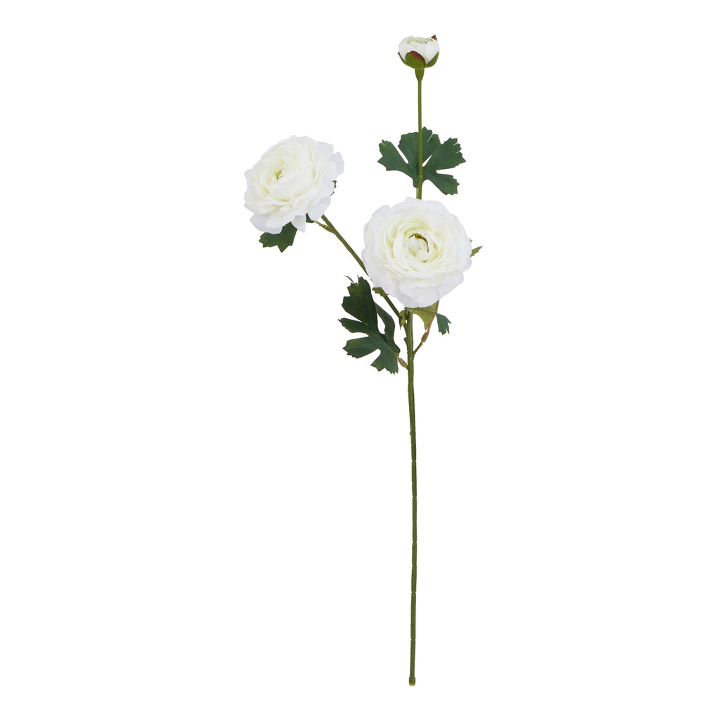 The Natural Garden Collection White Ranunculus – alternate view 3