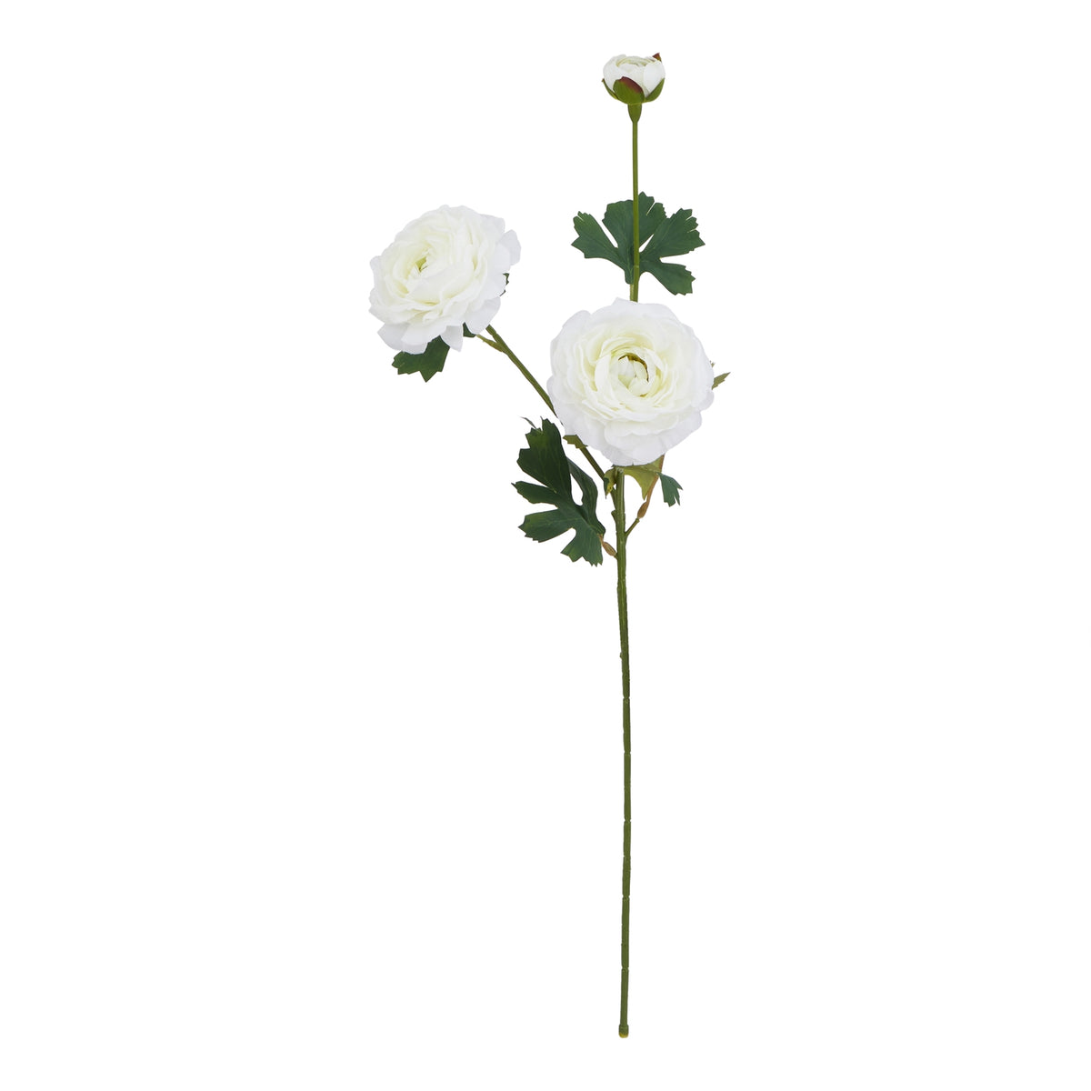 The Natural Garden Collection White Ranunculus – alternate view 3