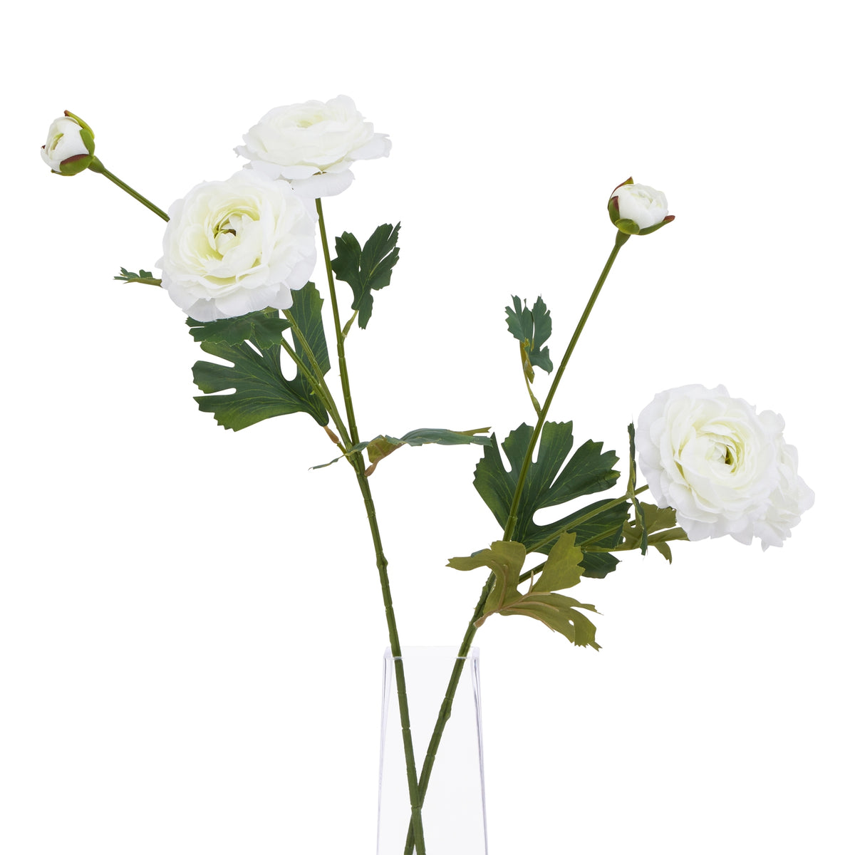 The Natural Garden Collection White Ranunculus – alternate view 5