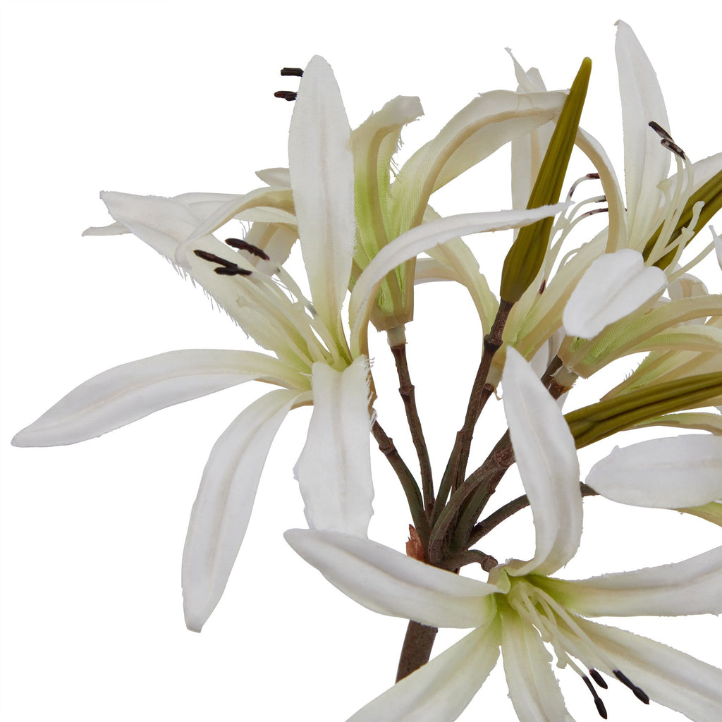 The Natural Garden Collection White Nerine Lily Stem – alternate view 2