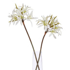 The Natural Garden Collection White Nerine Lily Stem – alternate view 3
