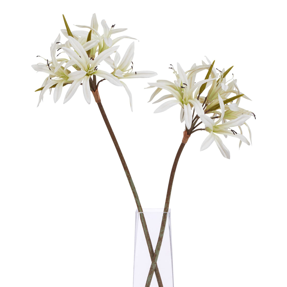The Natural Garden Collection White Nerine Lily Stem – alternate view 3