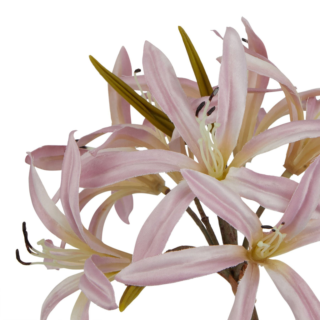 The Natural Garden Collection Pink Lily Stem – alternate view 2