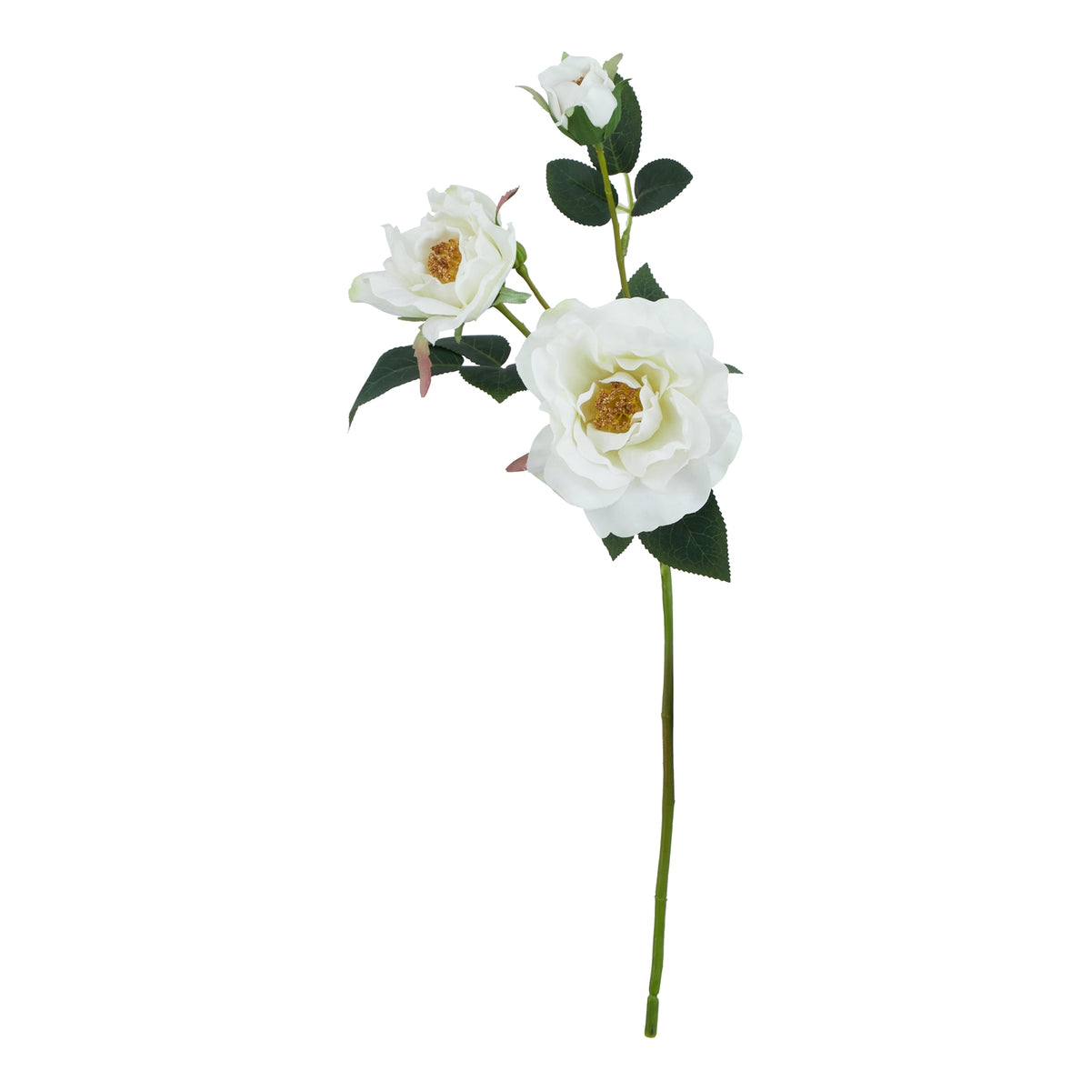 The Natural Garden Collection White Tea Rose – alternate view 3