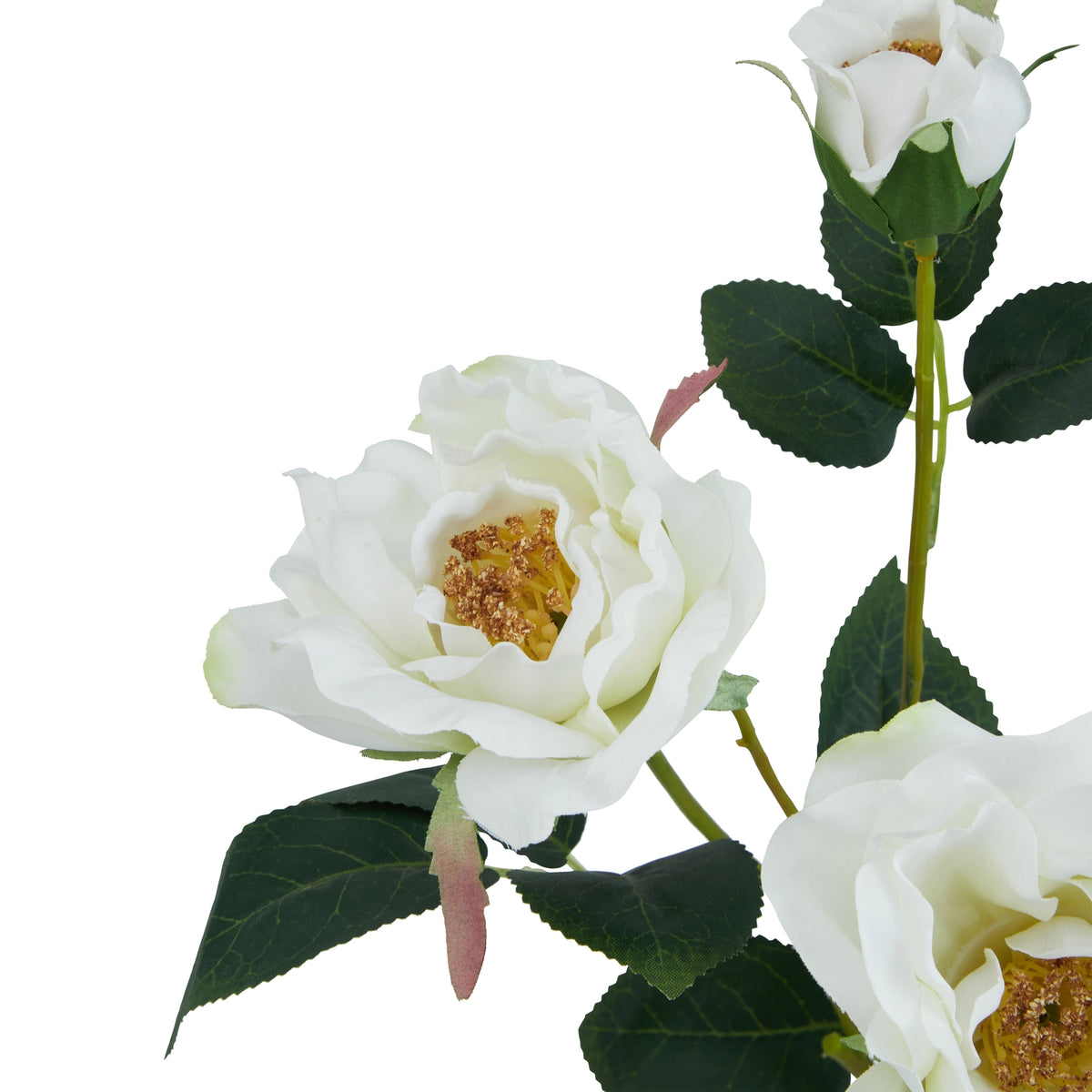 The Natural Garden Collection White Tea Rose – alternate view 4