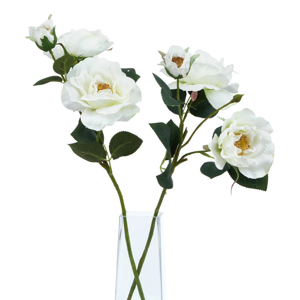 The Natural Garden Collection White Tea Rose – alternate view 5