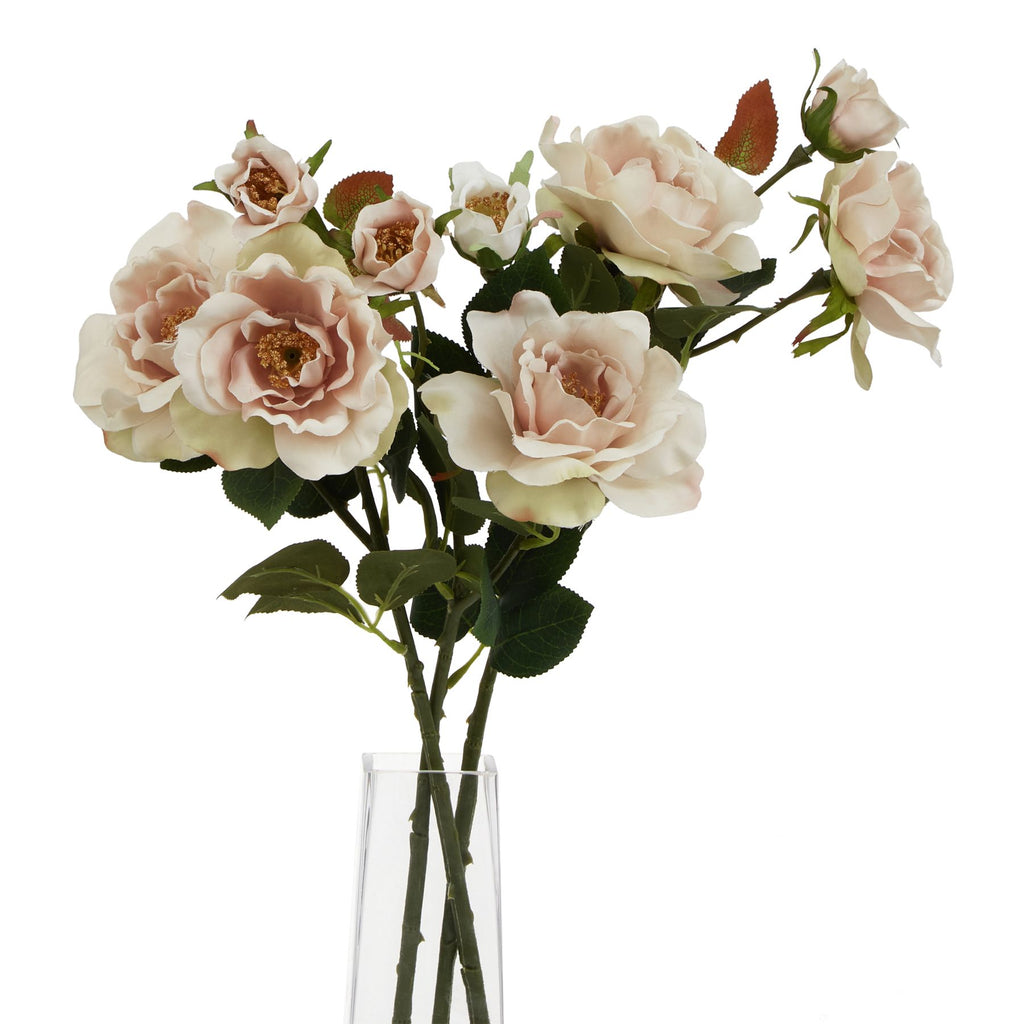 The Natural Garden Collection Palest Blush Tea Rose – alternate view 2