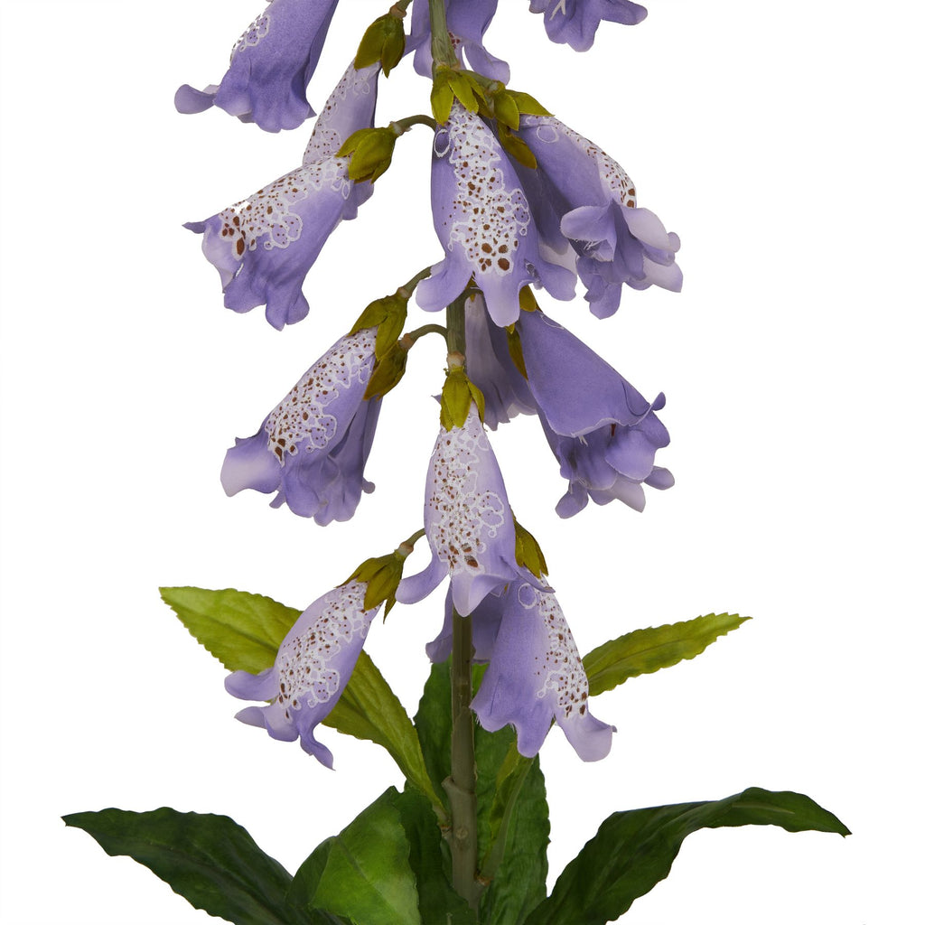 The Natural Garden Collection Mauve Foxglove – alternate view 2