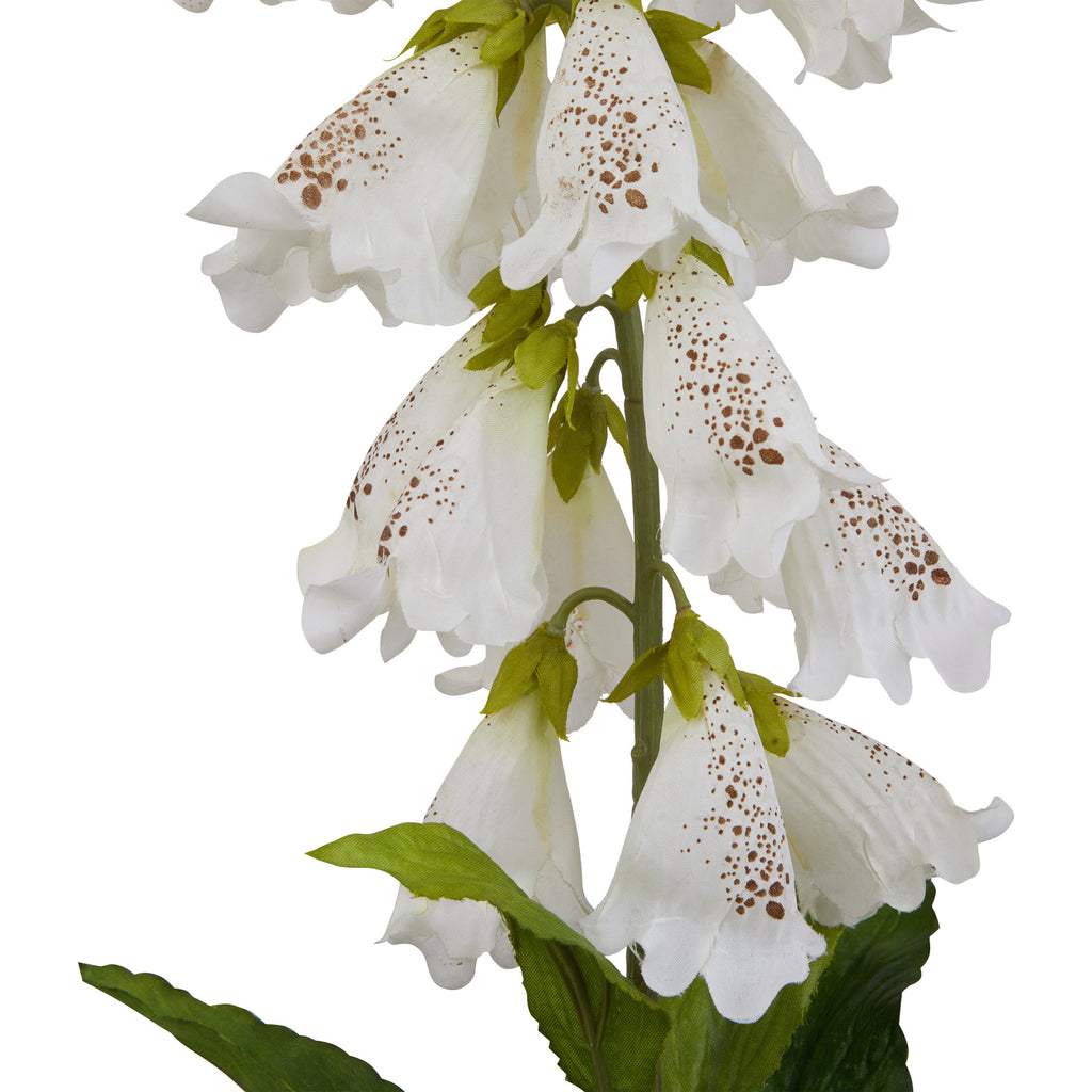 The Natural Garden Collection White Foxglove – alternate view 3