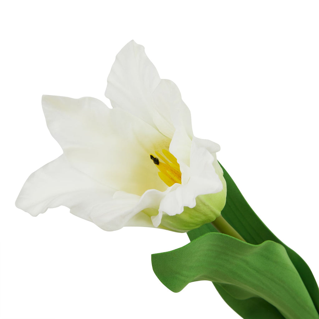 The Natural Garden Collection White Parrot Tulip – alternate view 2
