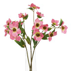 The Natural Garden Collection Pink Varigated Hellibore – alternate view 3