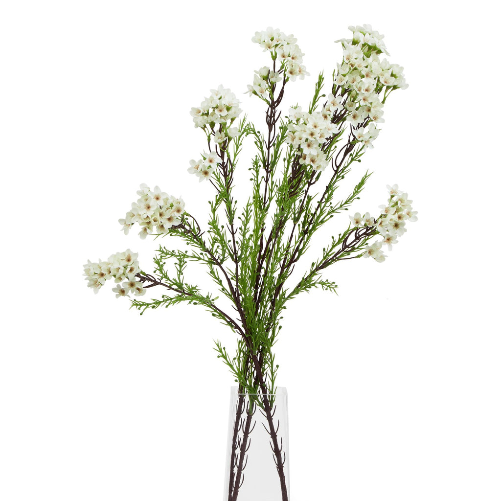 The Natural Garden Collection White Waxflower – alternate view 3