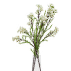 The Natural Garden Collection White Waxflower – alternate view 3
