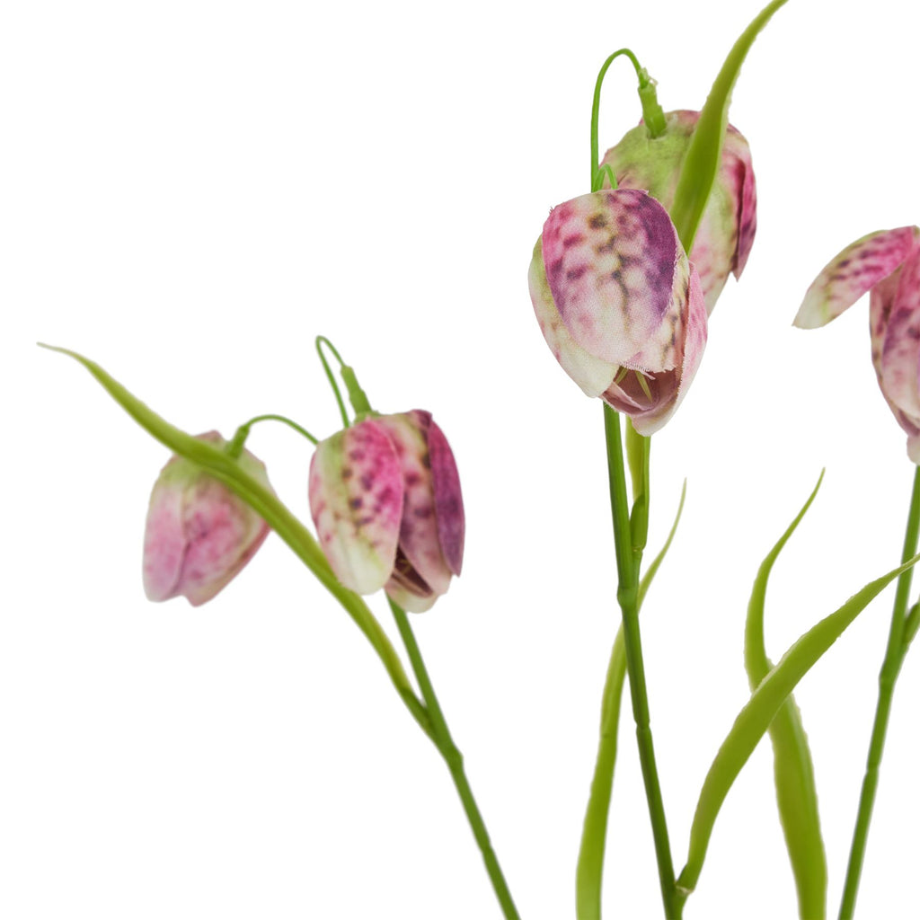 The Natural Garden Collection Purple Fritillaria Stem – alternate view 2