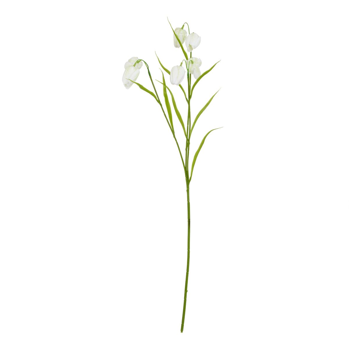 The Natural Garden Collection White Fritillaria Stem – alternate view 3