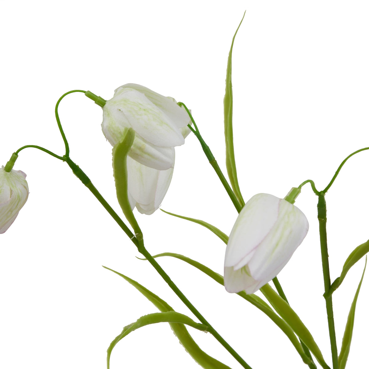 The Natural Garden Collection White Fritillaria Stem – alternate view 4